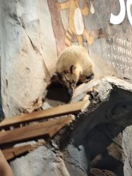 -Zoolung Zoolung动物主题公园(海信广场店)