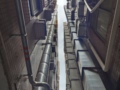 -肥猪仔小吃店(罗湖店)