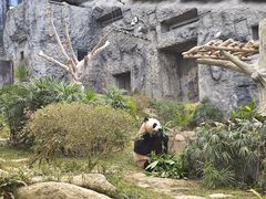 -石排湾郊野公园