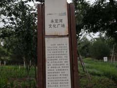 -永定河休闲森林公园
