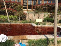 -汤泊温泉度假村