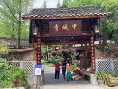 -青城甲(青城山店)