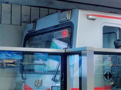-大望路(地铁站)
