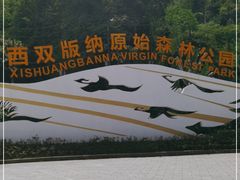 -西双版纳原始森林公园