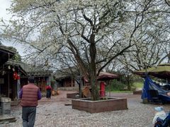 -保利石象湖景区
