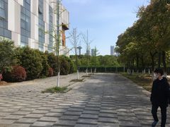 -金陵图书馆