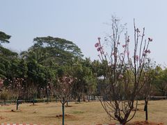 -海上田园