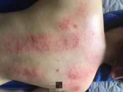 -御品•瑶浴灸疗SPA