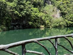 -龙湾潭国家森林公园
