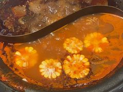 -生活如沸·顺德水牛奶火锅(大学路店)