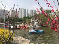 -西宁市人民公园(城西区)