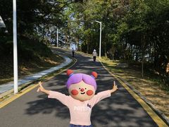 -黄埔油麻山森林公园