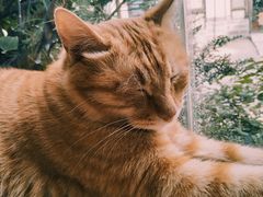 -王红军龙虾(新民路店)