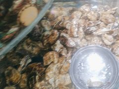 -鑫渔港海鲜本地菜·山海关浑锅(东戴河店)