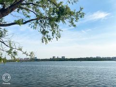 -长春市南湖公园