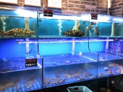 -百年银屏蚝烙·潮汕菜·非遗(乐山店)