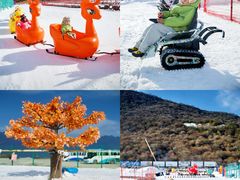 -太子岭滑雪场
