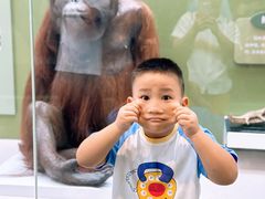 -国家自然博物馆