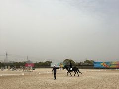 -松声马术俱乐部