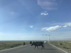 -青海湖国家重点风景名胜区