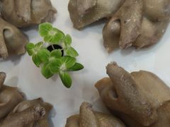 -香山湖渔家大院