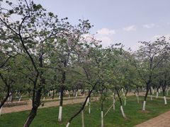 -昆明动物园