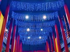 -滇越乘象云南餐厅(豆各庄店)