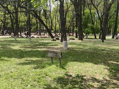 -二一九公园