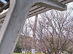 -映月湖中央公园