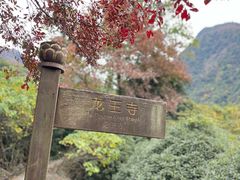 -大罗山风景区