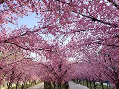 -玻璃桥景区石牛寨