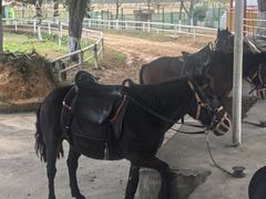 -盈香心动乐园