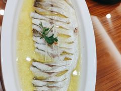 -鲁宴·鲁煨黄河生态大鲤鱼(月坛店)