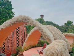-深圳仙湖植物园