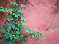 -白帝城·瞿塘峡景区