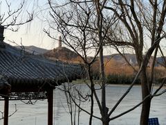 -北坞公园