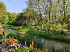 -上海共青森林公园