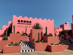 -漳州滨海火山岛自然生态风景区