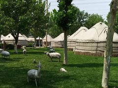 -九十九顶毡房(阜石路店)