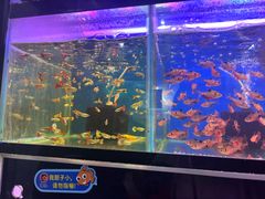 -双季花艺园艺市场(浦东店)