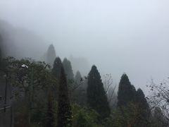 -井冈山风景名胜区-黄洋界