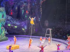 -广州长隆国际大马戏