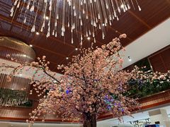 -卡拉卡拉漫温泉汗蒸