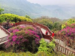 -广州市石门国家森林公园