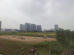 -光明小镇欢乐田园