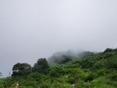 -白草畔自然风景区