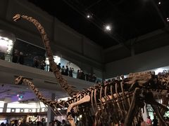 -自贡恐龙博物馆