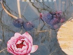 -上海辰山植物园