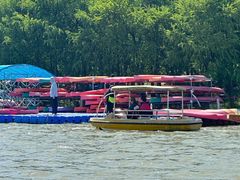 -上海海湾国家森林公园