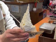 -野人先生Gelato(上海长宁龙之梦店)